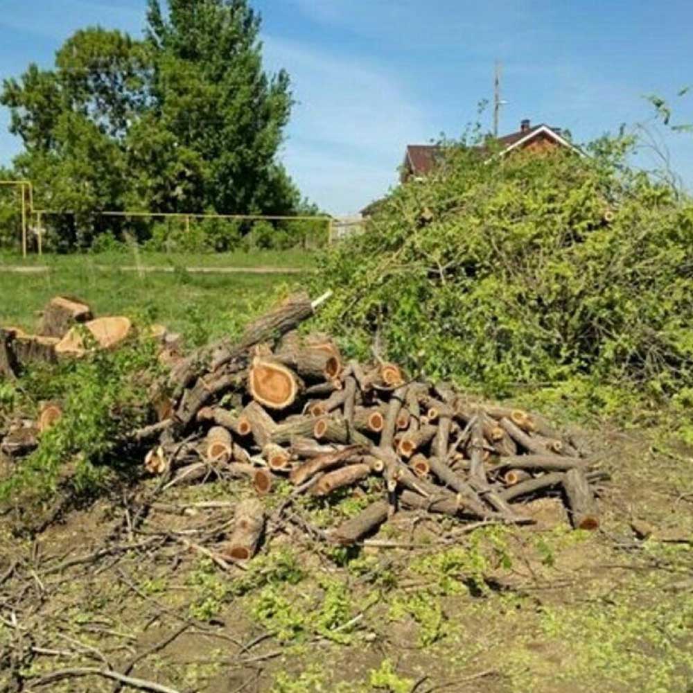 расчистка-участков-1